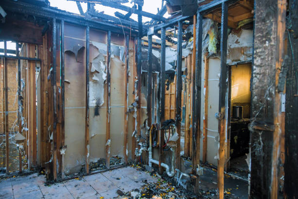 Professional Fire Damage Assessment technician working in Honey Grove, TX